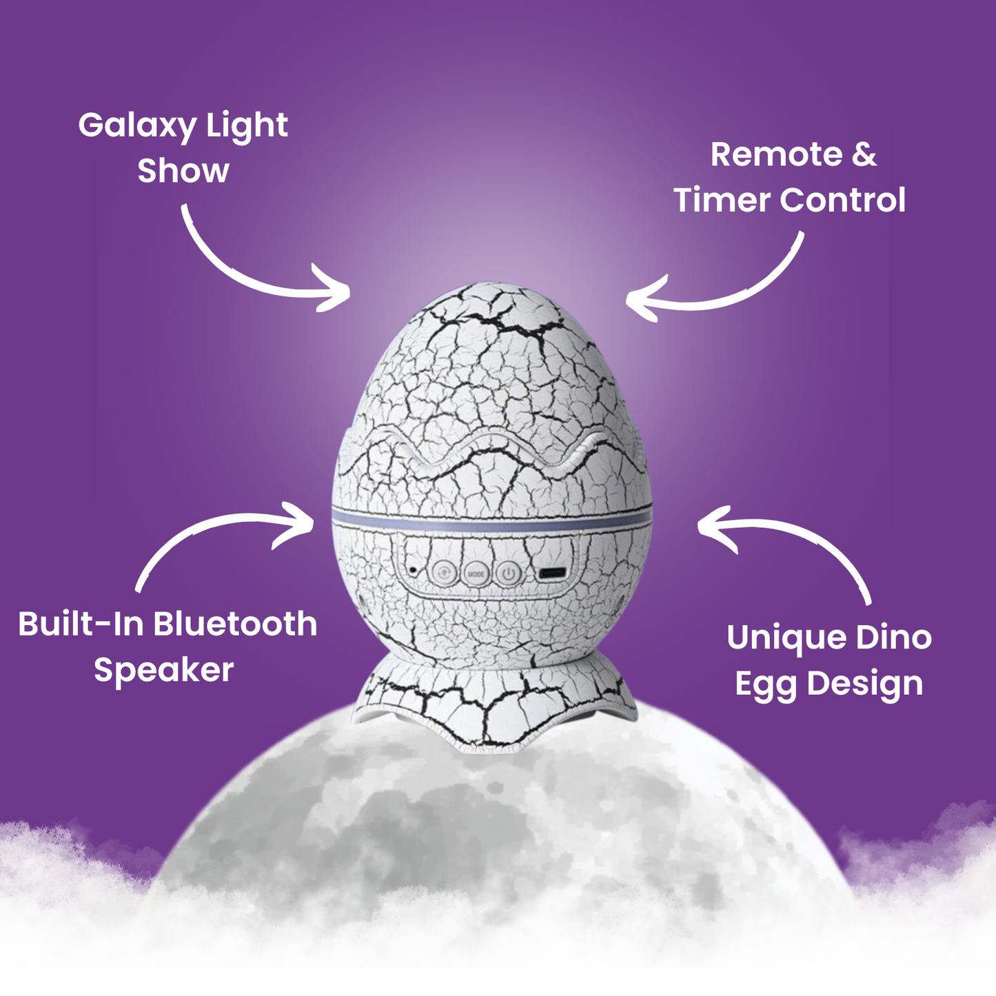 The Dino Egg