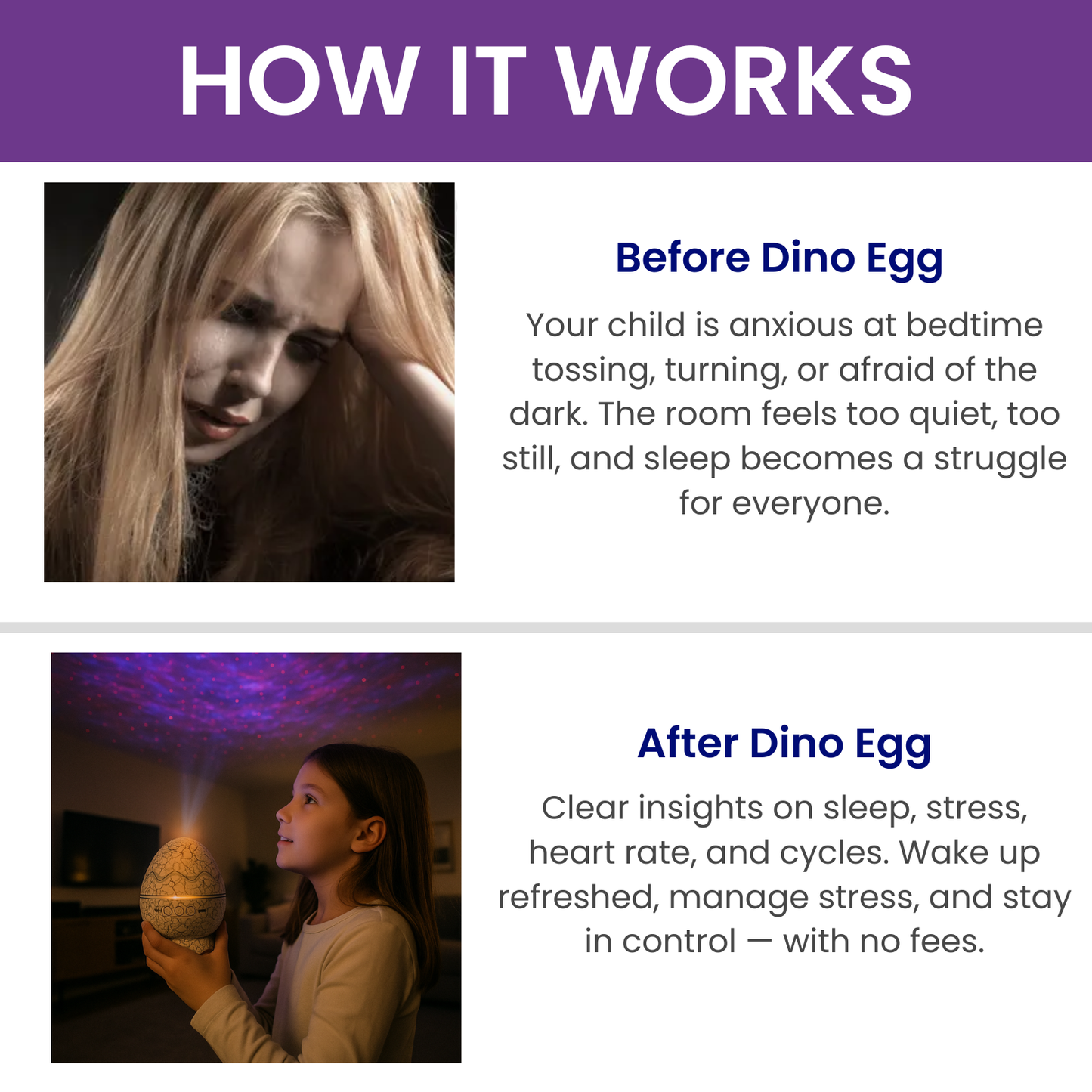 The Dino Egg