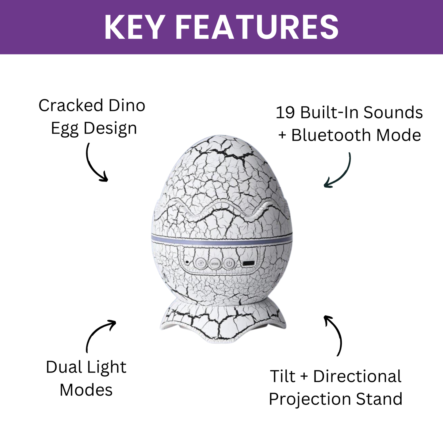 The Dino Egg